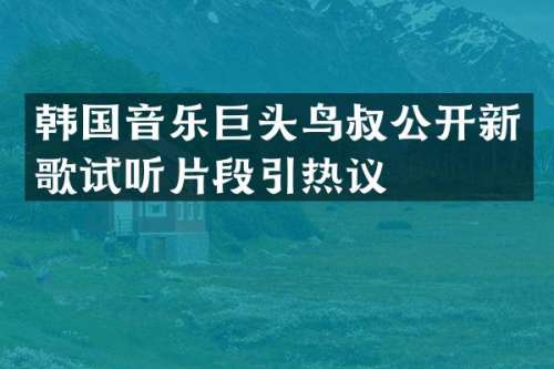 韩国音乐巨头鸟叔公开新歌试听片段引热议
