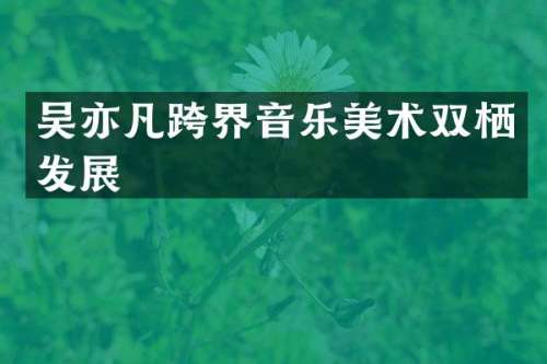 吴亦凡跨界音乐美术双栖发展