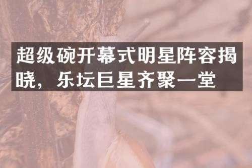 超级碗开幕式明星阵容揭晓，乐坛巨星齐聚一堂