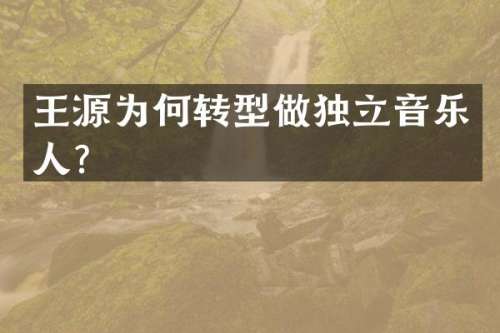 王源为何转型做独立音乐人？