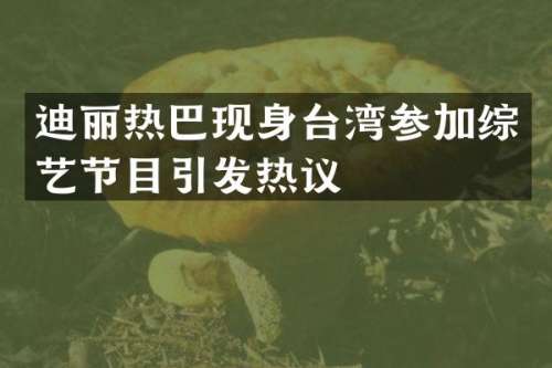 迪丽热巴现身台湾参加综艺节目引发热议