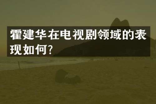 霍建华在电视剧领域的表现如何？
