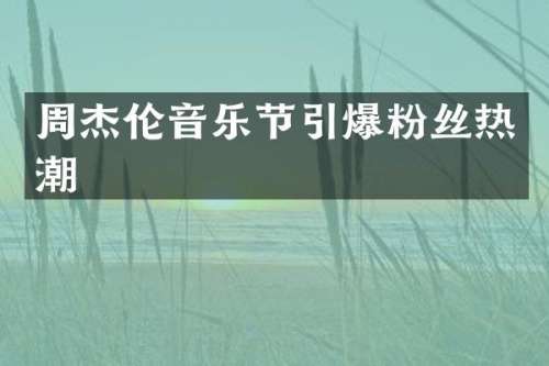 周杰伦音乐节粉丝热潮