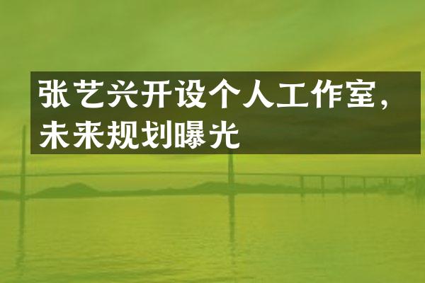 张艺兴开设个人工作室，未来规划曝光