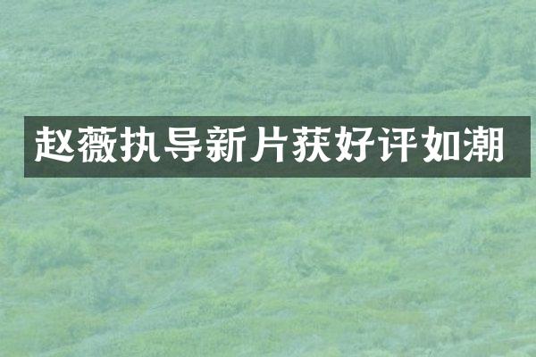 赵薇执导新片获好评如潮