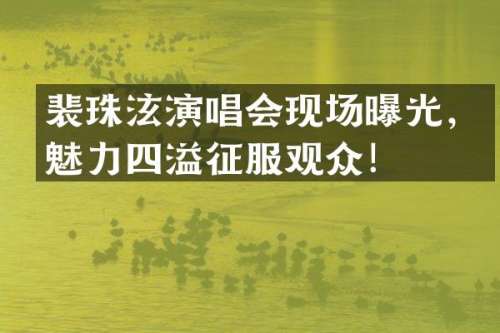 裴珠泫演唱会现场曝光，魅力四溢征服观众！