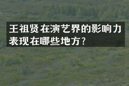 王祖贤在演艺界的影响力表现在哪些地方？