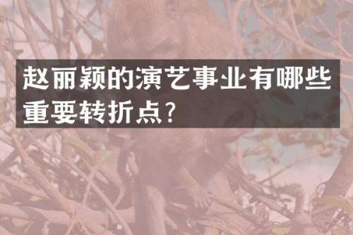 赵丽颖的演艺事业有哪些重要转折点？