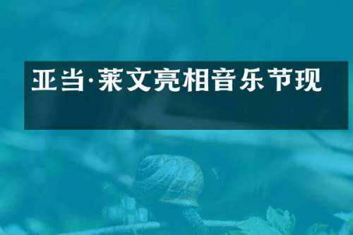 亚当·莱文亮相音乐节现场