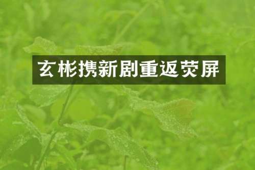 玄彬携新剧重返荧屏