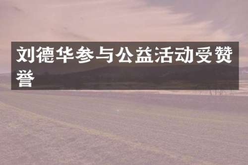 刘德华参与公益活动受赞誉