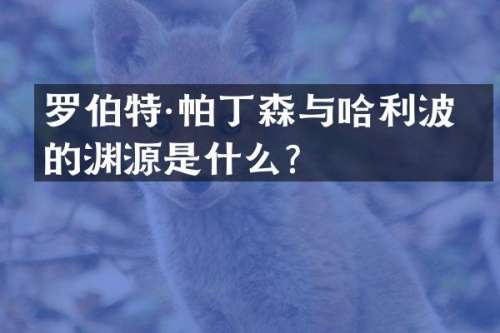 罗伯特·帕丁森与哈利波特的渊源是什么？
