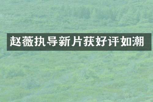 赵薇执导新片获好评如潮