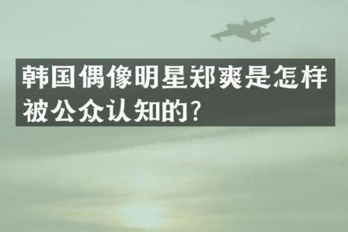 韩国偶像明星郑爽是怎样被公众认知的？