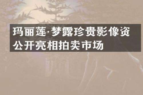 玛丽莲·梦珍贵影像资料公开亮相拍卖市场