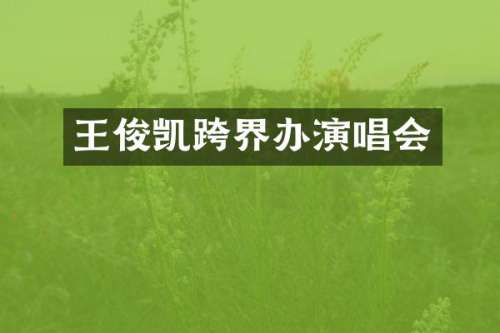 王俊凯跨界办演唱会
