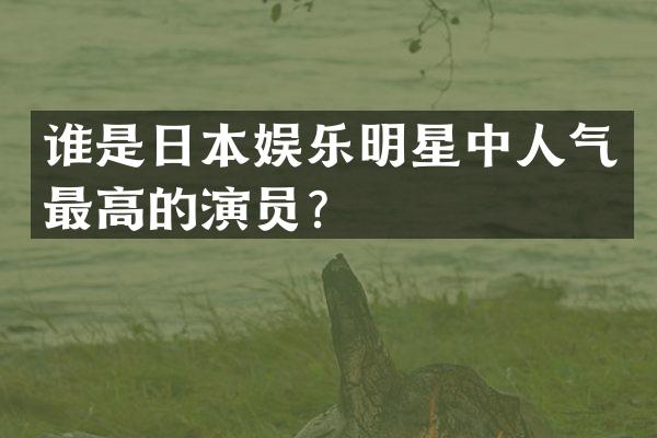 谁是日本娱乐明星中人气最高的演员？