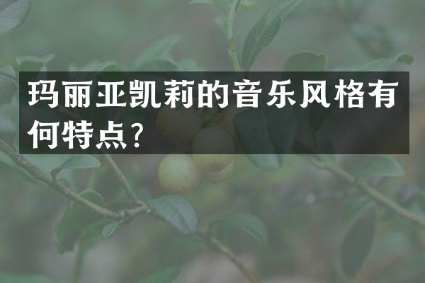 玛丽亚凯莉的音乐风格有何特点？