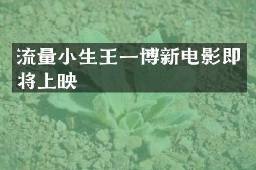 流量小生王一博新电影即将上映