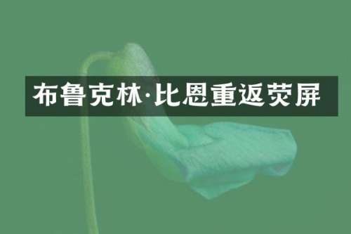 布鲁克林·比恩重返荧屏
