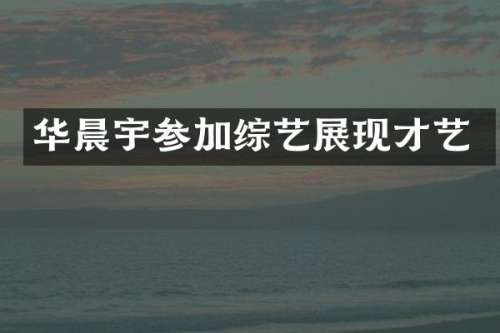华晨宇参加综艺展现才艺