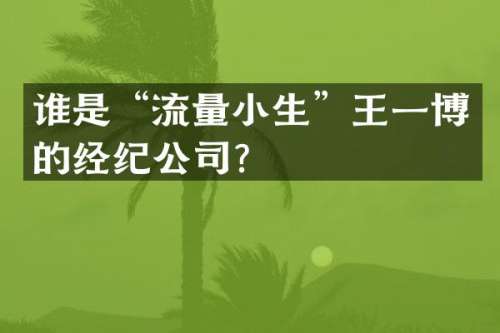 谁是“流量小生”王一博的经纪公司？