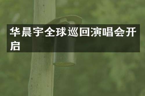 华晨宇全球巡回演唱会开启