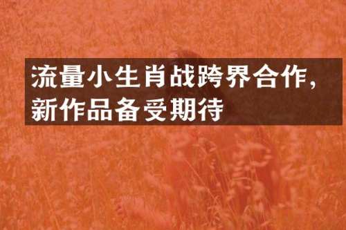 流量小生肖战跨界合作，新作品备受期待