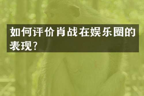 如何评价肖战在娱乐圈的表现？