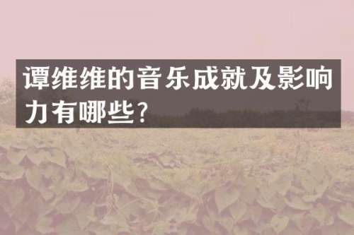 谭维维的音乐成就及影响力有哪些？