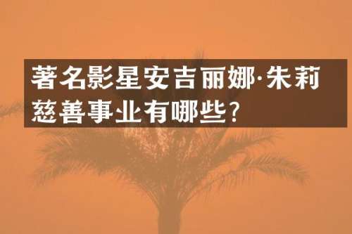 著名影星安吉丽娜·朱莉的慈善事业有哪些？