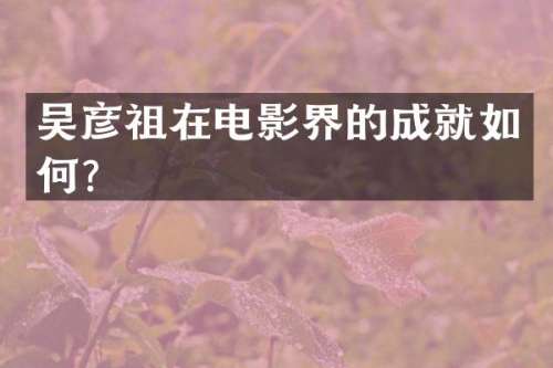 吴彦祖在电影界的成就如何？