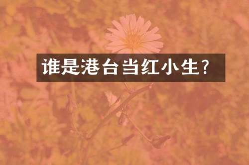 谁是港台当红小生？