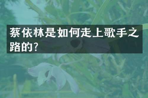 蔡依林是如何走上歌手之路的？