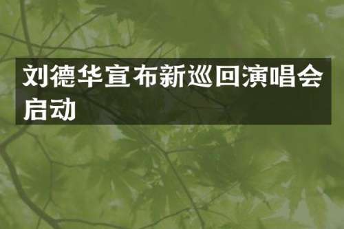 刘德华宣布新巡回演唱会启动
