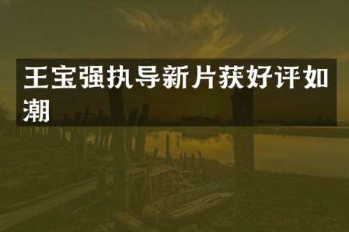 王宝强执导新片获好评如潮