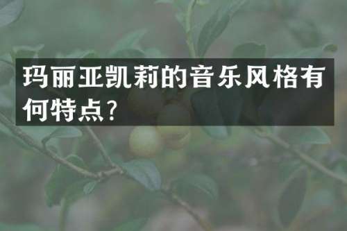 玛丽亚凯莉的音乐风格有何特点？
