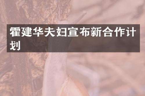 霍建华夫妇宣布新合作计划