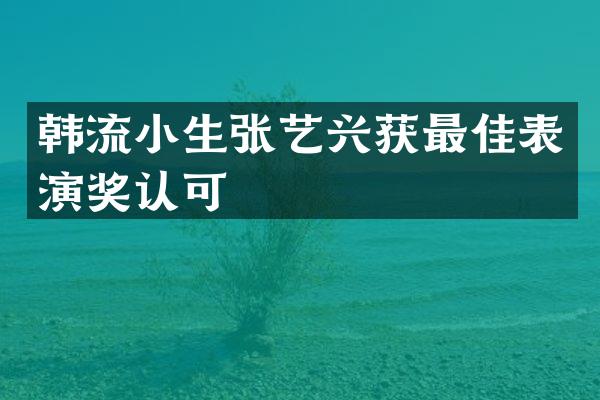 韩流小生张艺兴获最佳表演奖认可