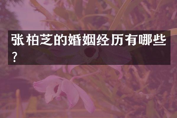 张柏芝的婚姻经历有哪些？