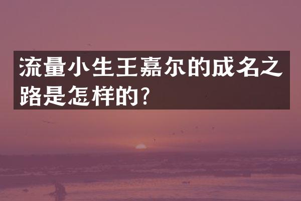流量小生王嘉尔的成名之路是怎样的？