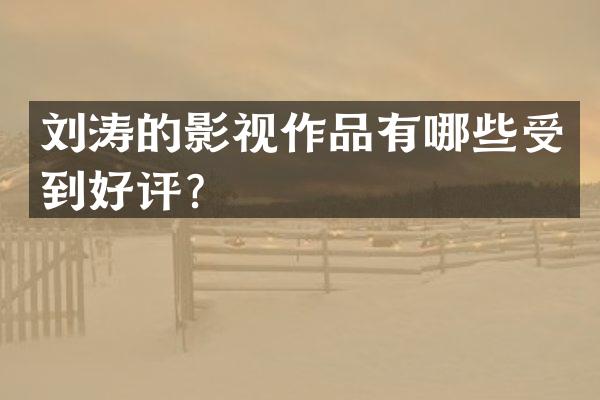 刘涛的影视作品有哪些受到好评？