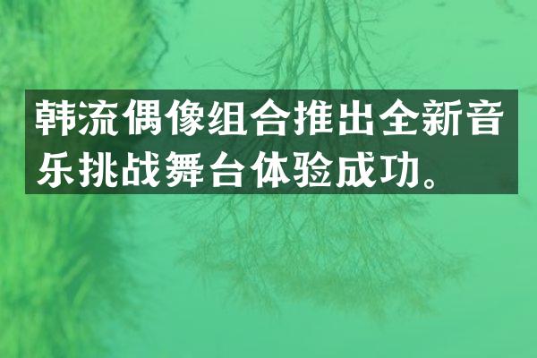 韩流偶像组合推出全新音乐挑台体验成功。