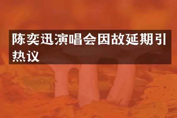 陈奕迅演唱会因故延期引热议