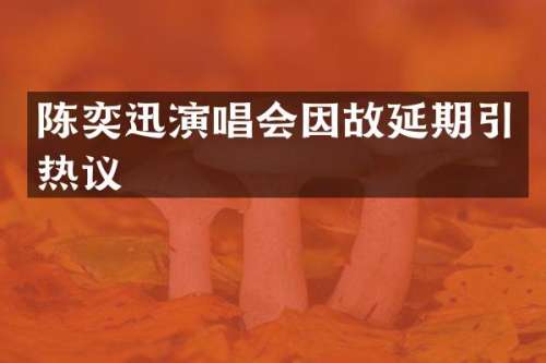 陈奕迅演唱会因故延期引热议