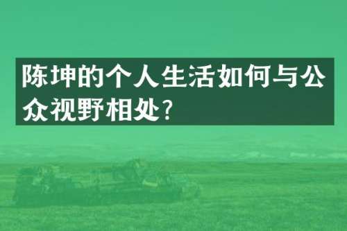 陈坤的个人生活如何与公众视野相处？
