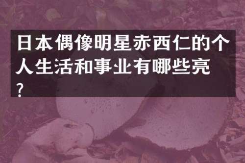 日本偶像明星赤西仁的个人生活和事业有哪些亮点？