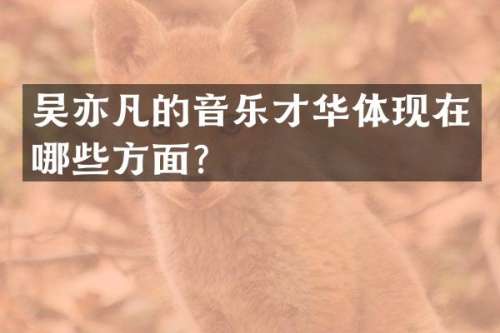吴亦凡的音乐才华体现在哪些方面？