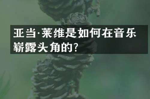 亚当·莱维是如何在音乐界崭头角的？