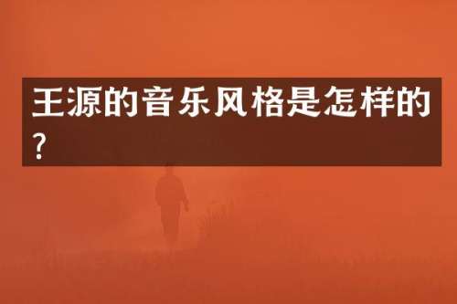 王源的音乐风格是怎样的？